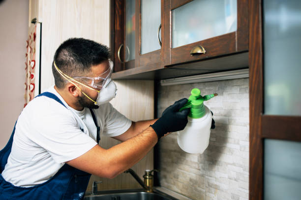 Best Affordable Exterminators  in Daleville, IN